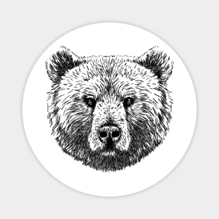Grizzly Bear Head Calm And Cute Bear Magnet